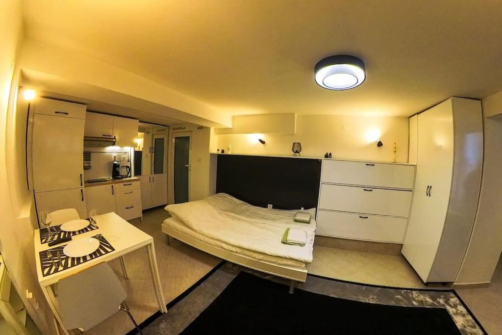 Studio With Courtyard Just Steps Away Vitosha Str Sofie Exteriér fotografie